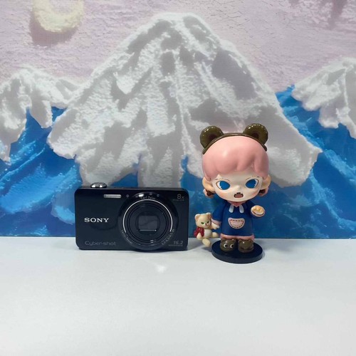 Sony cybershot dsc - cybershot, dsc-wx80